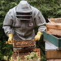 Beekeeping Tools and Protective Gear: A Comprehensive Guide to Essential Equipment