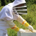Assembling and Setting Up Hives: A Beginner's Guide to Beekeeping