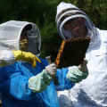 Earning Certifications in Beekeeping: Become a Certified Beekeeper