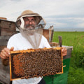 Promoting a Healthy Hive Environment with Sustainable Practices