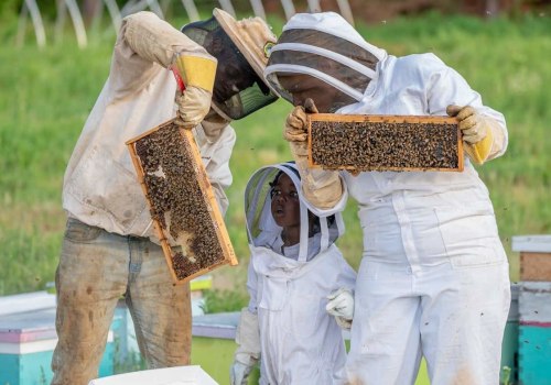 Marketing Your Pollination Services: A Comprehensive Guide for Beekeepers
