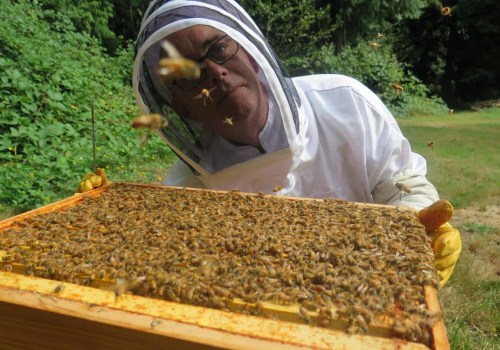 Budgeting and Financial Planning for Starting a Beekeeping Business