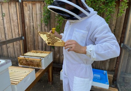 Obtaining Necessary Permits and Licenses for Your Beekeeping Business
