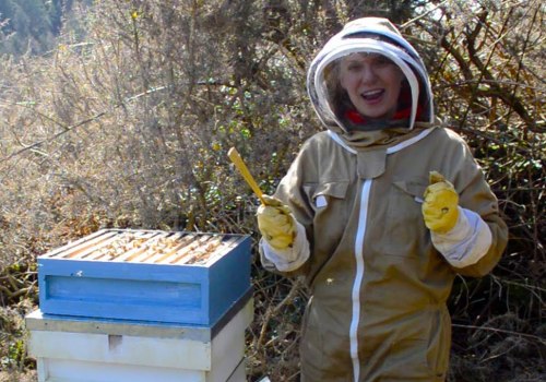A Beginner's Guide to Watching Instructional Videos and Webinars for Beekeeping